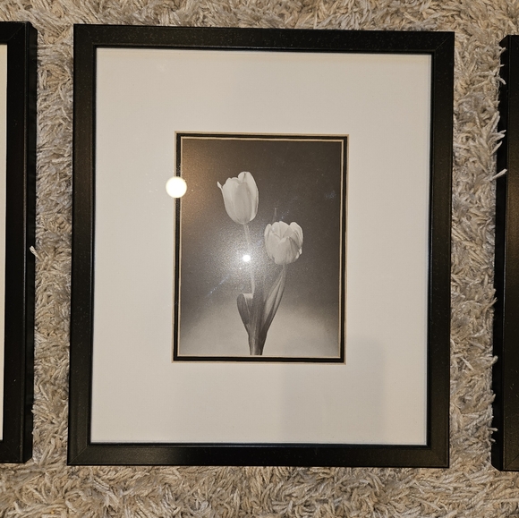 3 black and white framed flower pictures - Picture 3 of 12